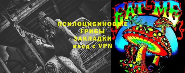 мяу мяу мука Абаза