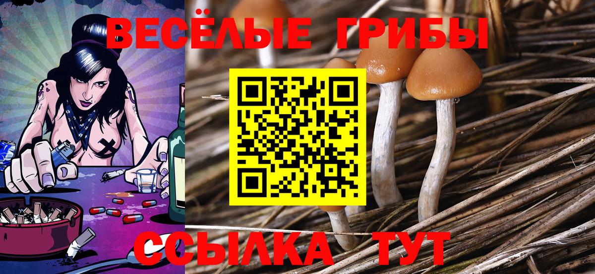 Галлюциногенные грибы Magic Shrooms  Вход с VPN  Донской 