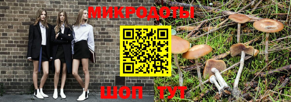Галлюциногенные грибы Psilocybe Донской